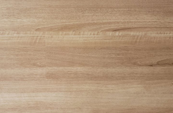 Classique — ProTier SPC ONE EIR